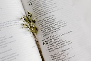 13 Comforting Bible Verses for a Broken Heart