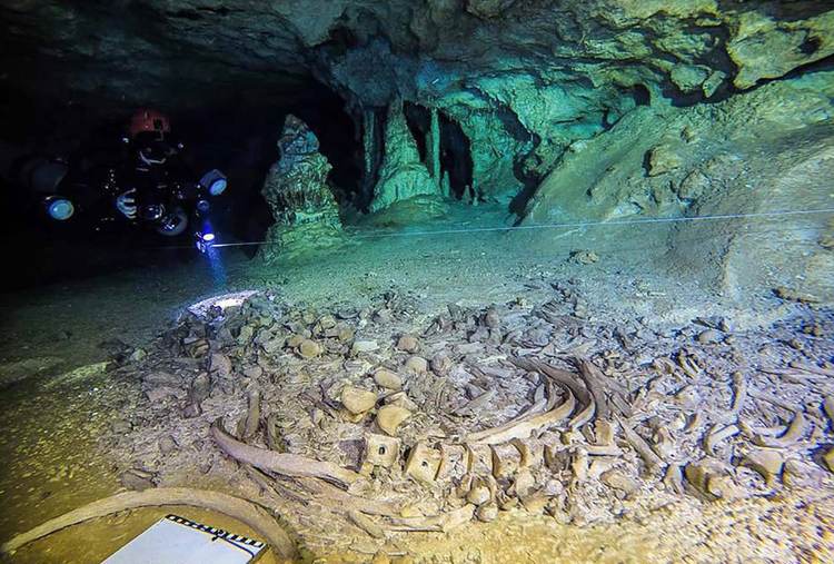Sedena Construction Threatens Sac Actún Cenote System Under Expanded Tulum Bypass Plan - Photo 3