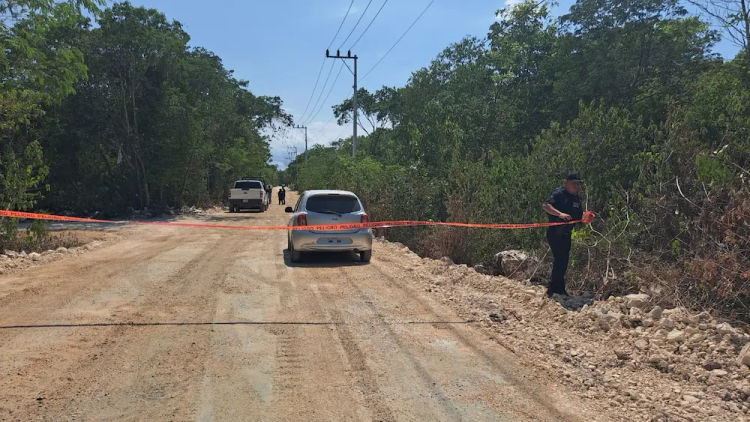 A Body in Advanced Decomposition Found in an Overgrown Lot in Tulum's Region 15 - Photo 2