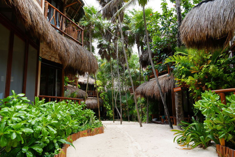 A Stay at Alaya Tulum, Where Rest Begins Barefoot - Photo 2