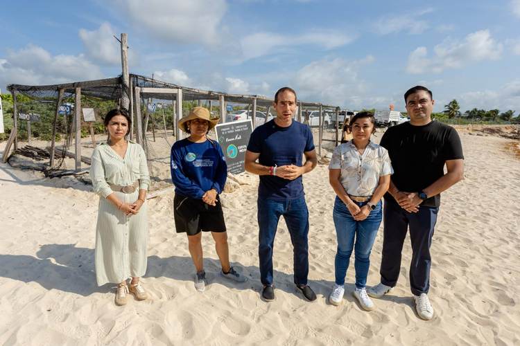 Tulum Intensifies Sea Turtle Protection as Nesting Season Begins - Photo 2 Tulum Intensifies Sea Turtle Protection as Nesting Season Begins - Photo 2