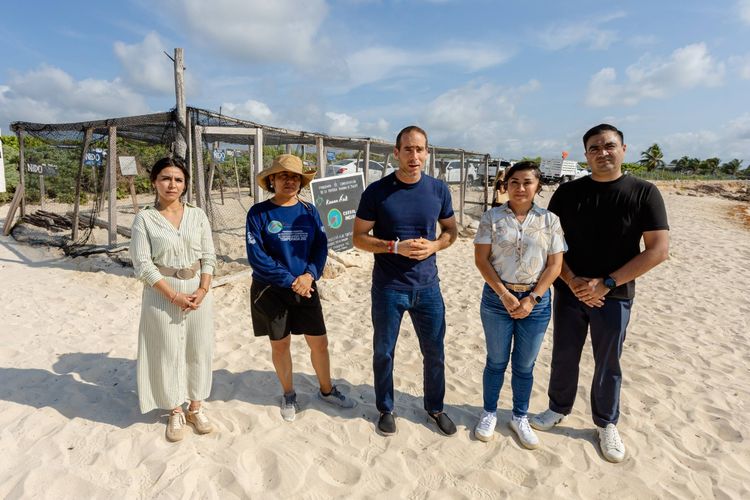 Tulum Intensifies Sea Turtle Protection as Nesting Season Begins - Photo 2
