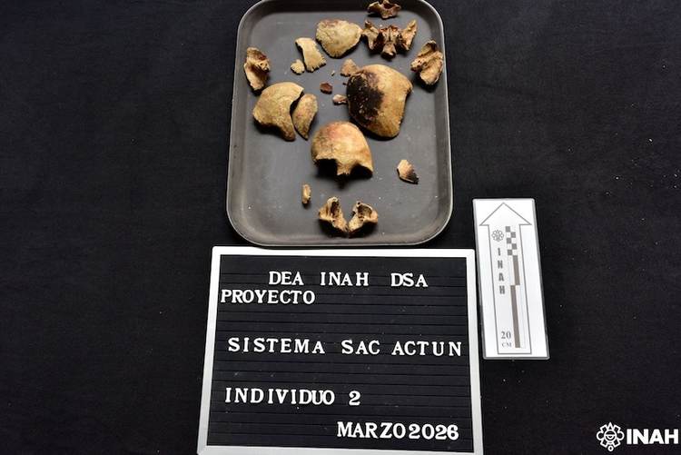 Ancient Tulum Human Remains Transferred to Mexico City for Study - Photo 1 Ancient Tulum Human Remains Transferred to Mexico City for Study - Photo 1