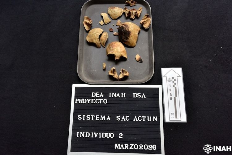 Ancient Tulum Human Remains Transferred to Mexico City for Study - Photo 1 Ancient Tulum Human Remains Transferred to Mexico City for Study - Photo 1