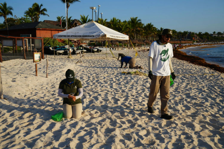 Fundacion Eco-Bahia Programa SAK beach cleanup Tulum Confronts the Nurdle Crisis - Photo 3