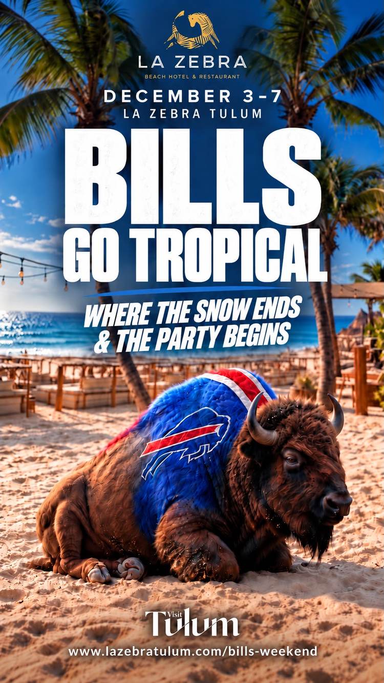 A bison wearing a Buffalo Bills jersey and Santa hat sits on a beach with palm trees and a coastal resort in the background A bison wearing a Buffalo Bills jersey and Santa hat sits on a beach with palm trees and a coastal resort in the background