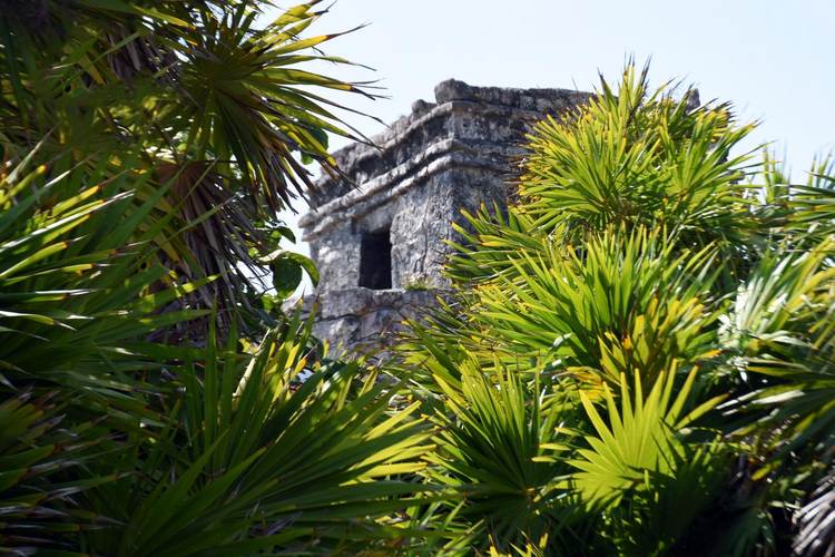 Before Tulum Grew Too Bright to See the Stars - Photo 4