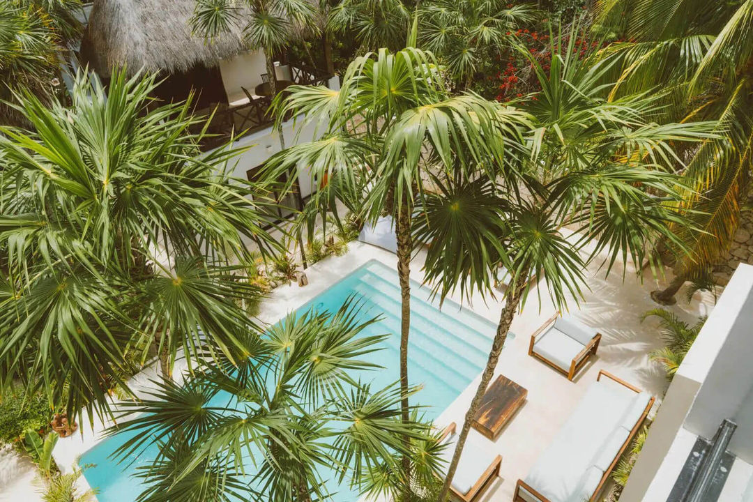The Ultimate Guide to the Tulum Real Estate Market The Ultimate Guide to the Tulum Real Estate Market