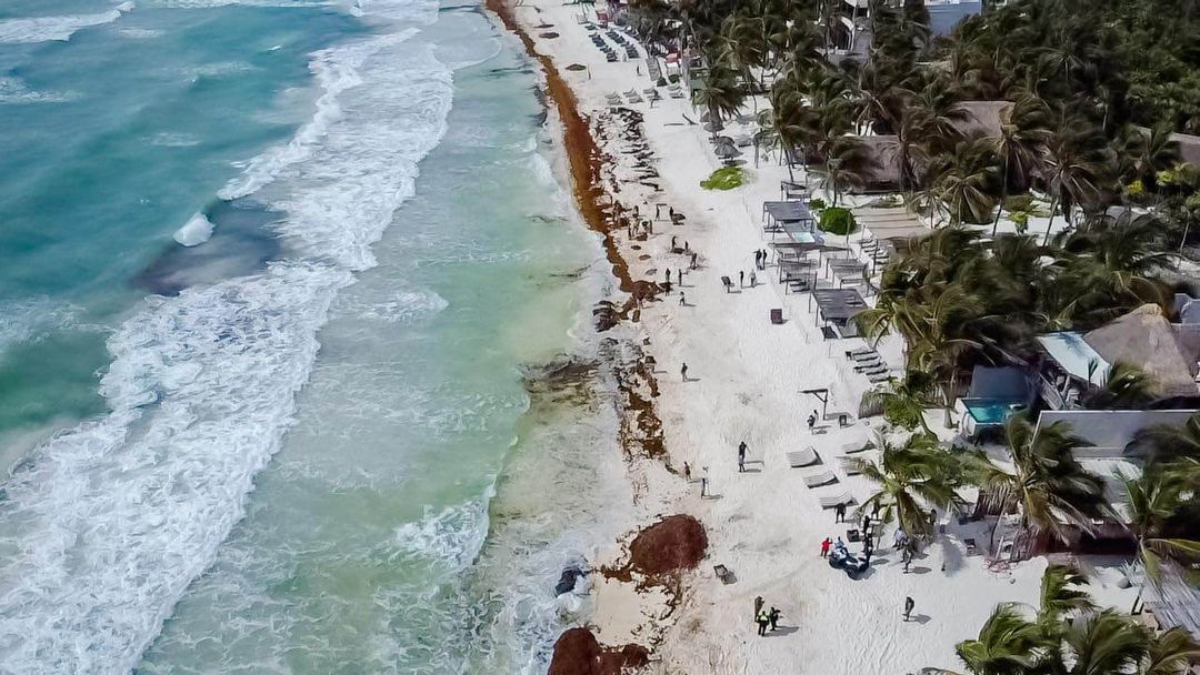 Se necesita un plan urgente para reactivar el turismo en Tulum. Urgent Plan Needed to Revive Tulum Tourism