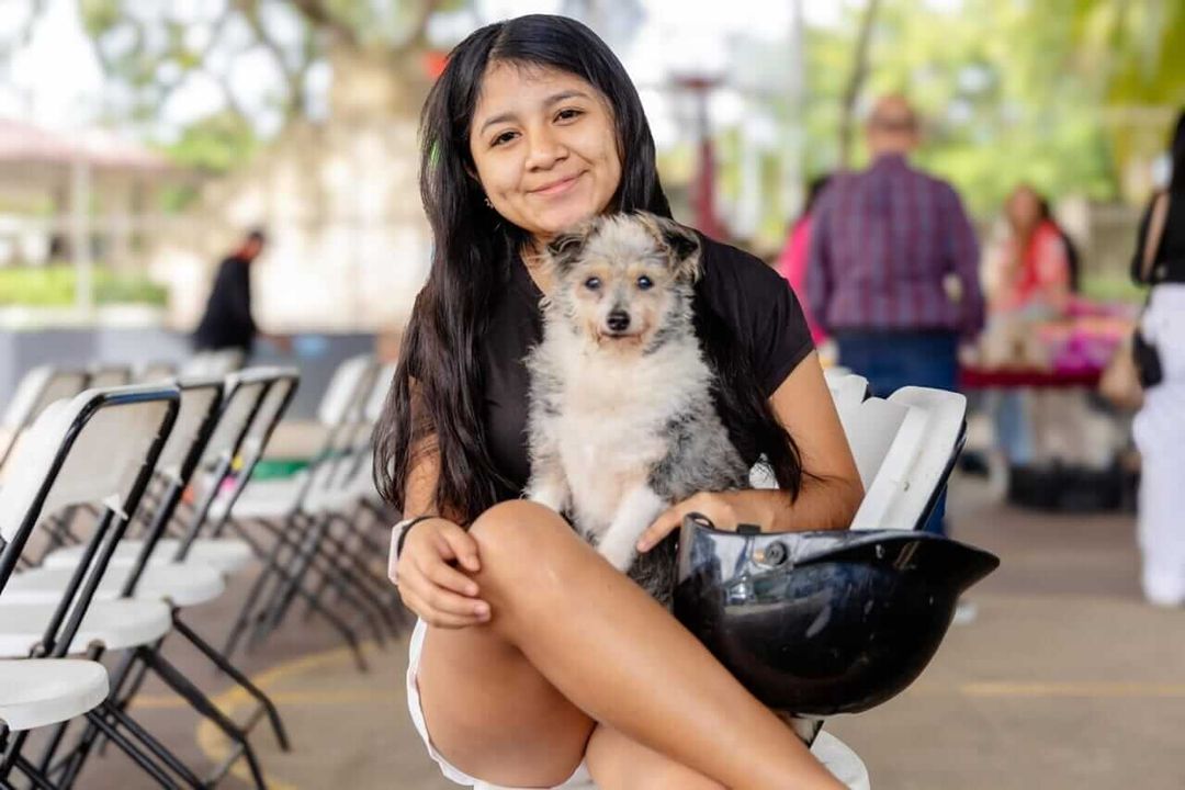 Tulum presenta su plan de actuación ante huracanes para proteger a familias y mascotas. Tulum Unveils Hurricane Plan to Shield Families and Pets