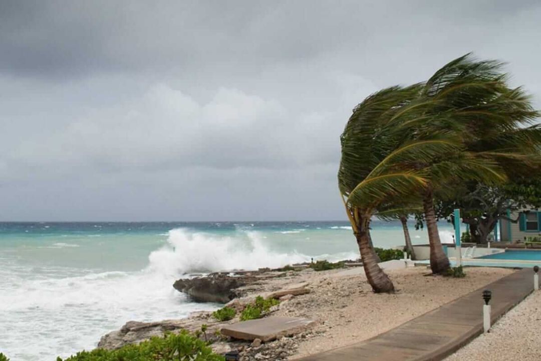Tulum Officials Fortify 2025 Hurricane Defenses Tulum Officials Fortify 2025 Hurricane Defenses