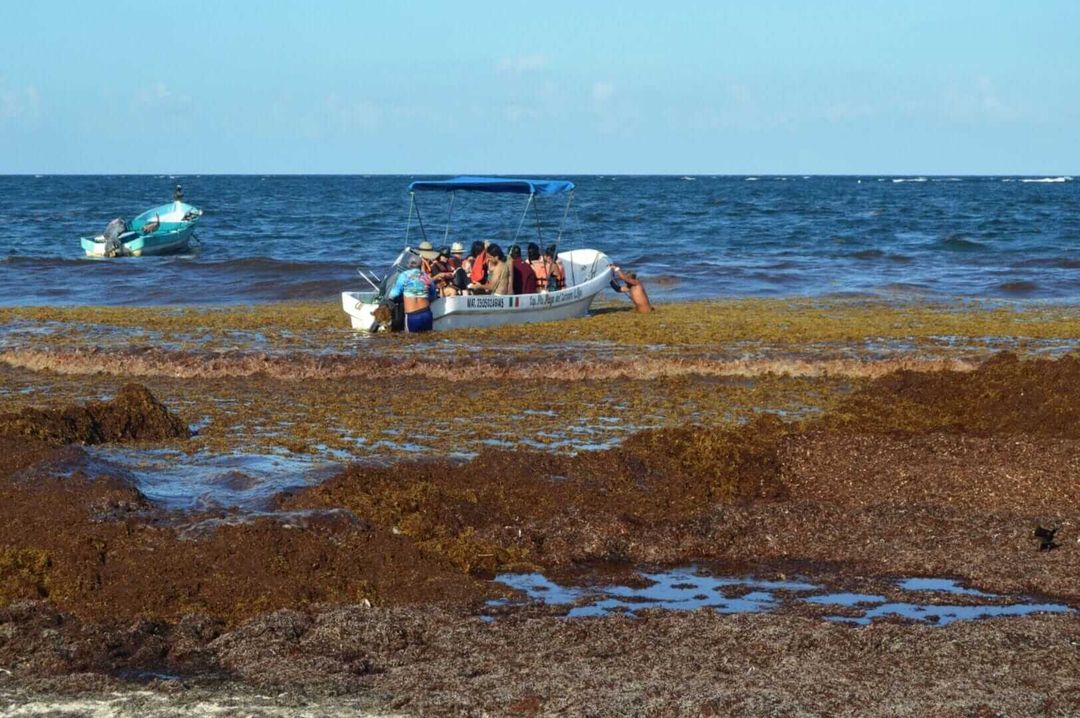 Harness Tourism Revenue to Battle Sargassum Invasion