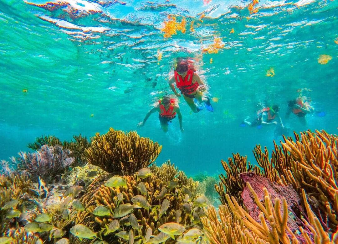 Ultimate Tulum Cenotes Guide: Explore the Best Swimming Spots