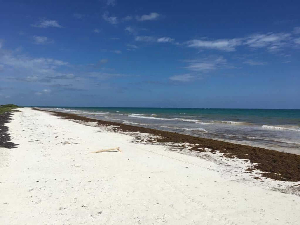 Legal Win Highlights Tulum Property Rights Protection Legal Win Highlights Tulum Property Rights Protection