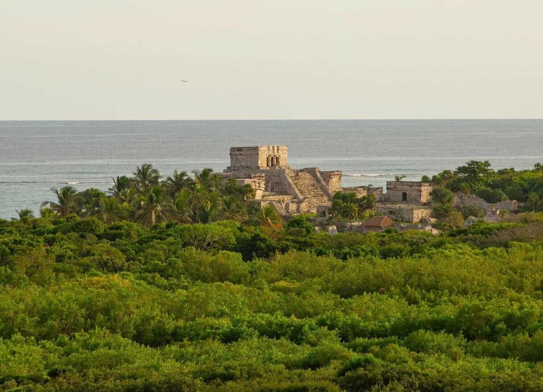 Unlock Free Entry to Parque del Jaguar in Tulum with New Resident ID Unlock Free Entry to Parque del Jaguar in Tulum with New Resident ID