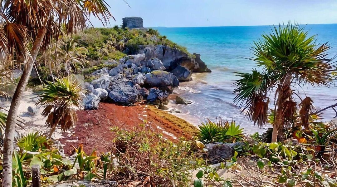 Sargazo Tulum 2025: Massive Increase Doubles Beach Cleanup Efforts Sargazo Tulum 2025: Massive Increase Doubles Beach Cleanup Efforts