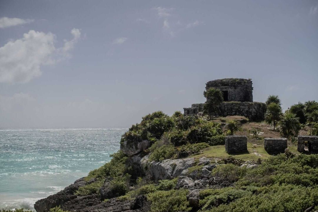 Tulum Is Bleeding in Silence and No One Seems to Notice Tulum Is Bleeding in Silence and No One Seems to Notice