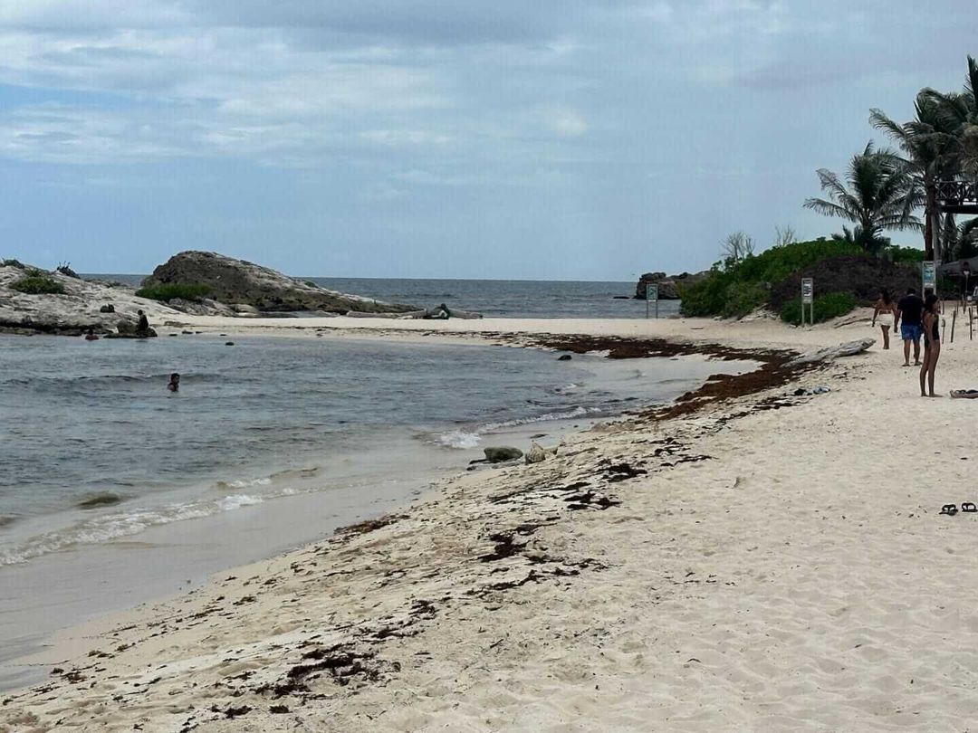 When the Waves in Tulum Forgot the Color Brown When the Waves in Tulum Forgot the Color Brown