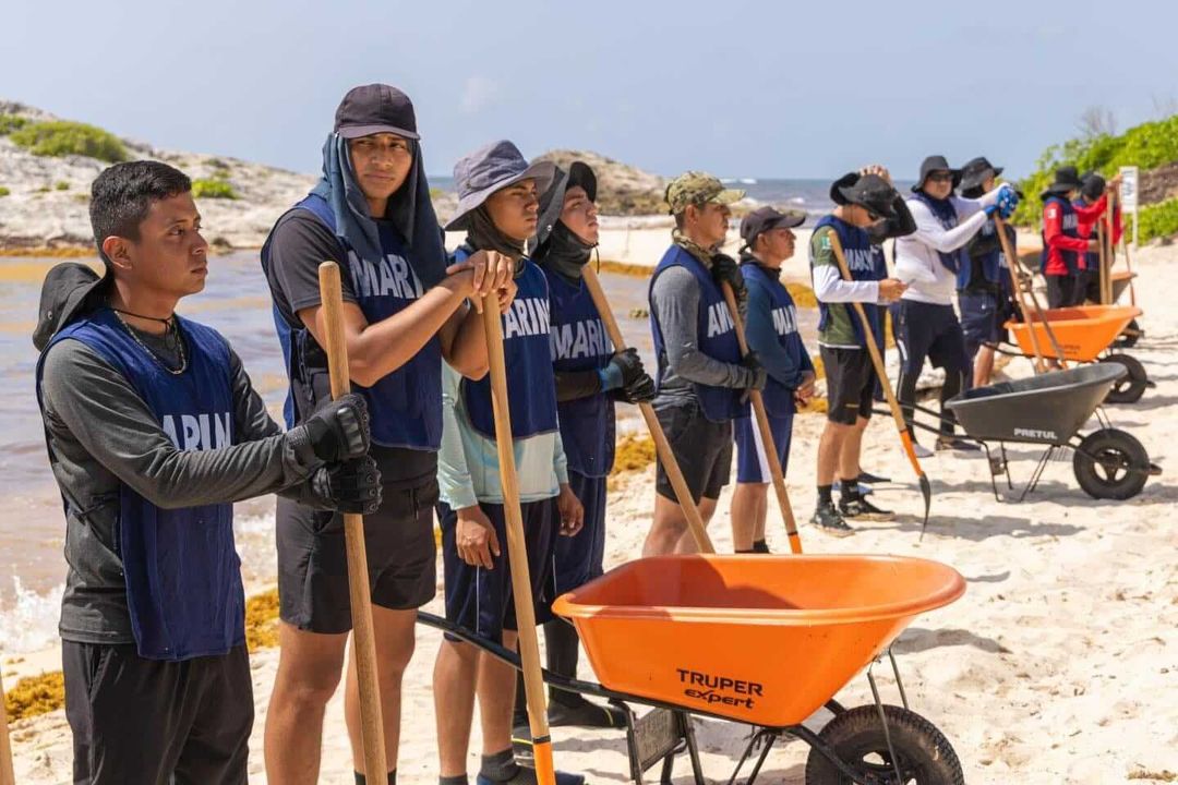 Tulum Is Paying Locals to Battle a Monster Made of Seaweed
