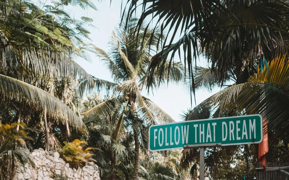 The Jungle Is Teaching Us to Slow Down Again The Jungle Is Teaching Us to Slow Down Again