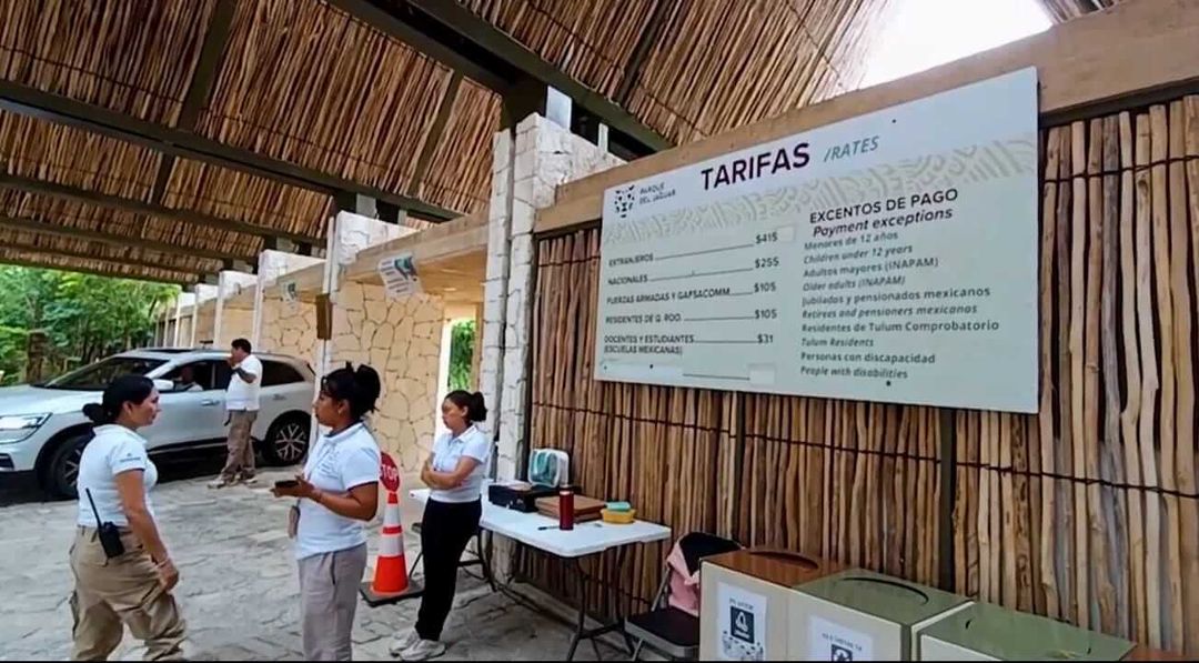 Long Walks and No Bathrooms: The Harsh Cost of Reaching Tulum’s Beaches Long Walks and No Bathrooms: The Harsh Cost of Reaching Tulum’s Beaches