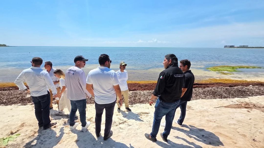 Tulum Beach Entrances Face Inspection Amid Access Concerns