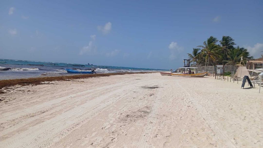 Rain Helps, But the Sargassum Keeps Coming in Riviera Maya Rain Helps, But the Sargassum Keeps Coming in Riviera Maya
