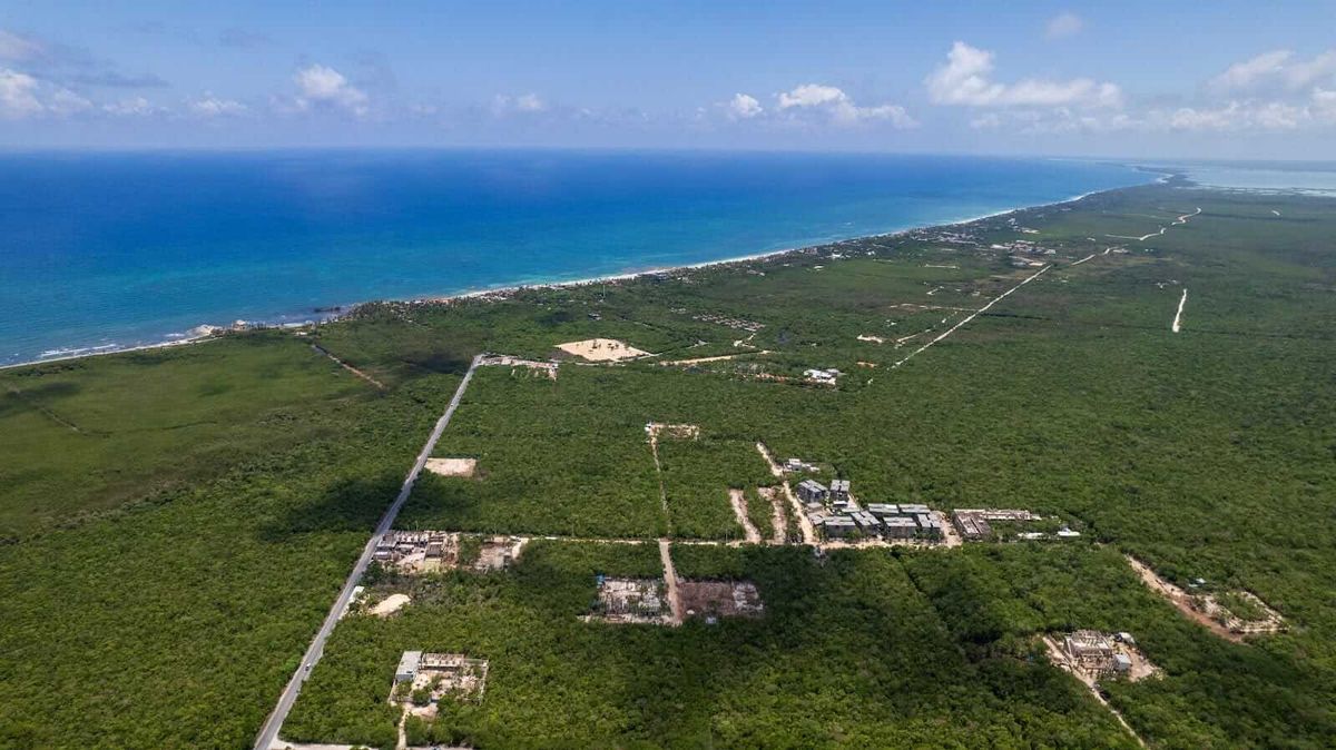 Developers warn Tulum’s growth could exceed infrastructure limits Developers warn Tulum’s growth could exceed infrastructure limits