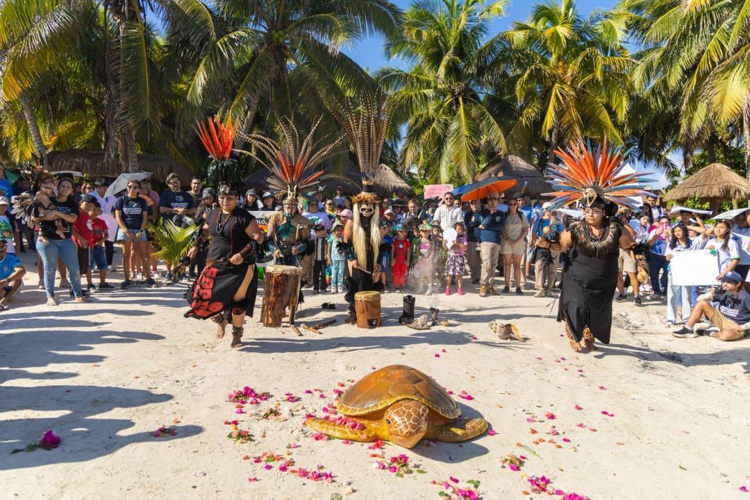 Sea turtle festival unites Tulum, Akumal, and Xcacel Sea turtle festival unites Tulum, Akumal, and Xcacel