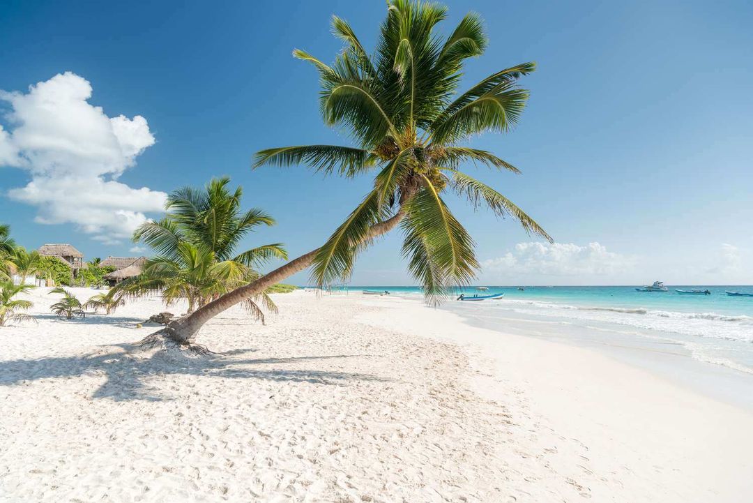 Mexico reopens Tulum public beaches to boost tourism Mexico reopens Tulum public beaches to boost tourism