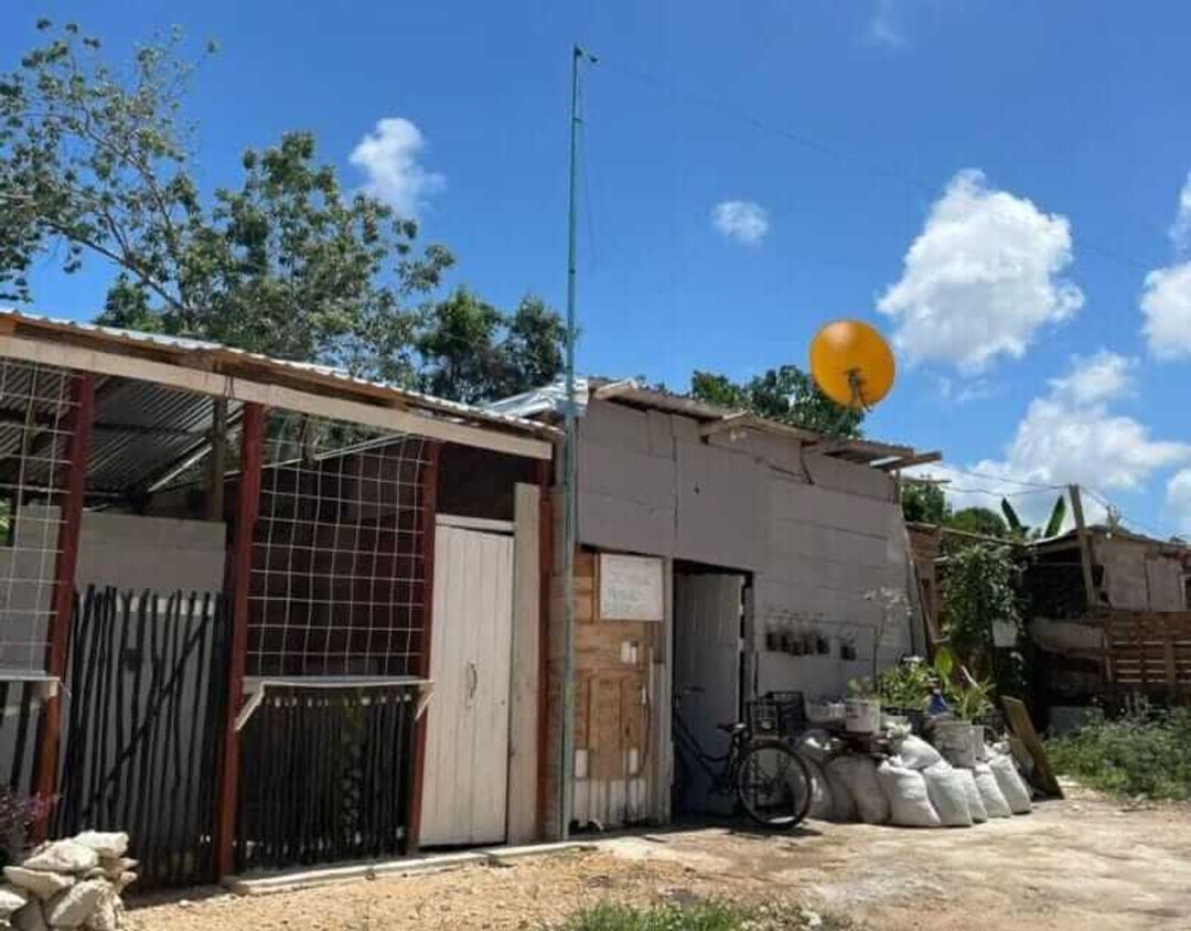 Illegal land invasions expose weak urban control in Tulum Illegal land invasions expose weak urban control in Tulum