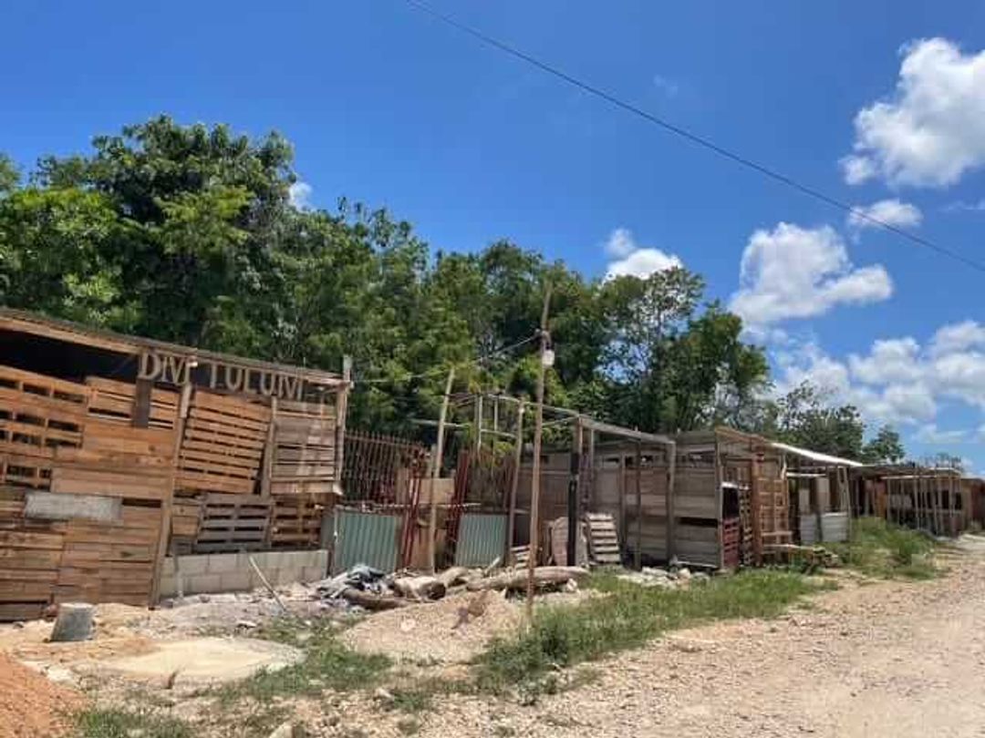 Illegal occupation in Tulum sparks outrage over government inaction Illegal occupation in Tulum sparks outrage over government inaction