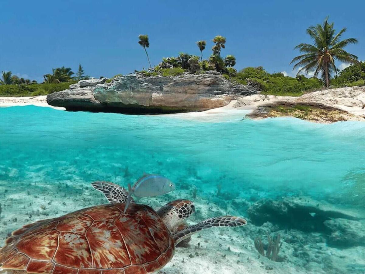Quiet turtle sanctuary at Xcacel Beach contrasts with booming Tulum