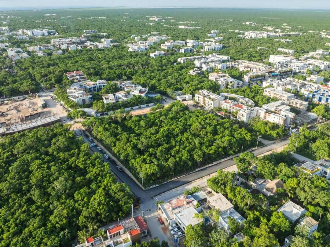 Why the Tulum real estate market is slowing without collapsing