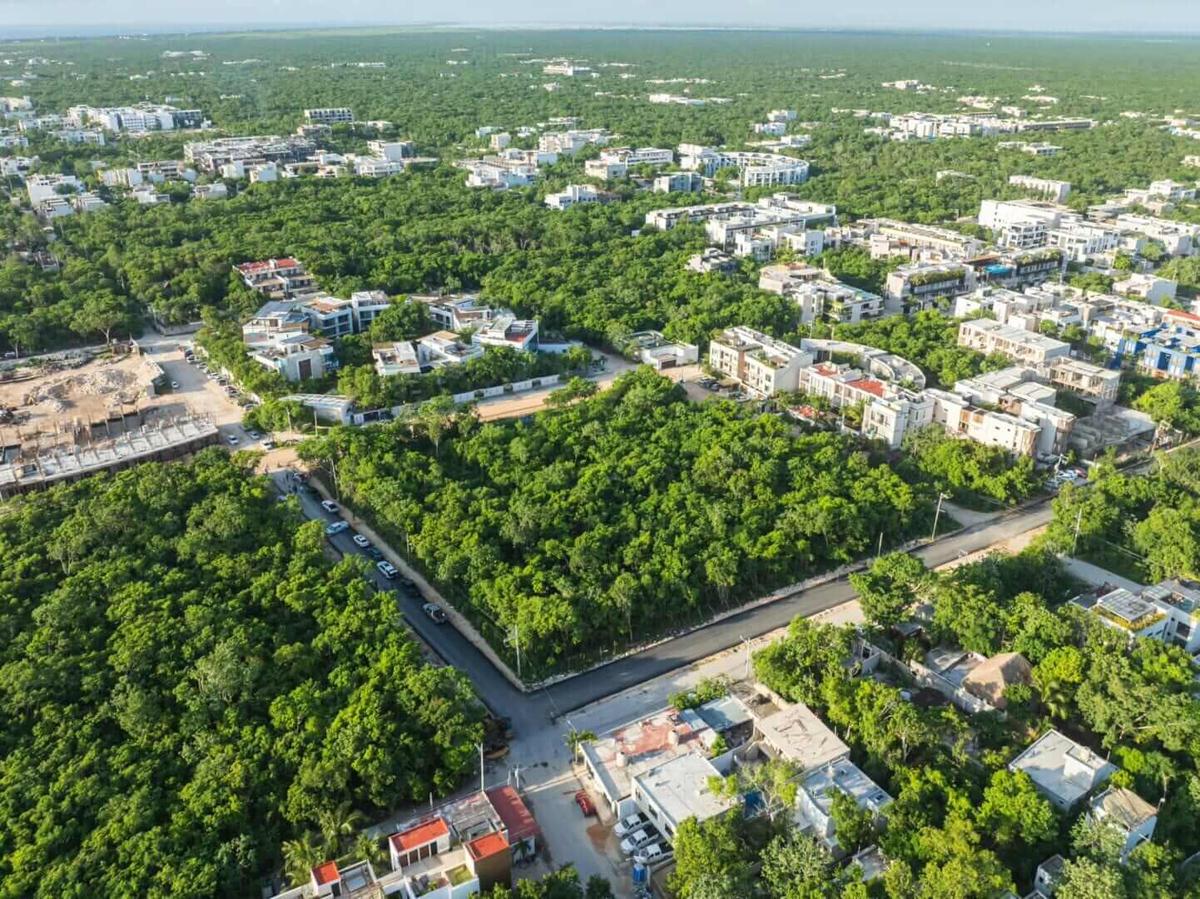 Why the Tulum real estate market is slowing without collapsing