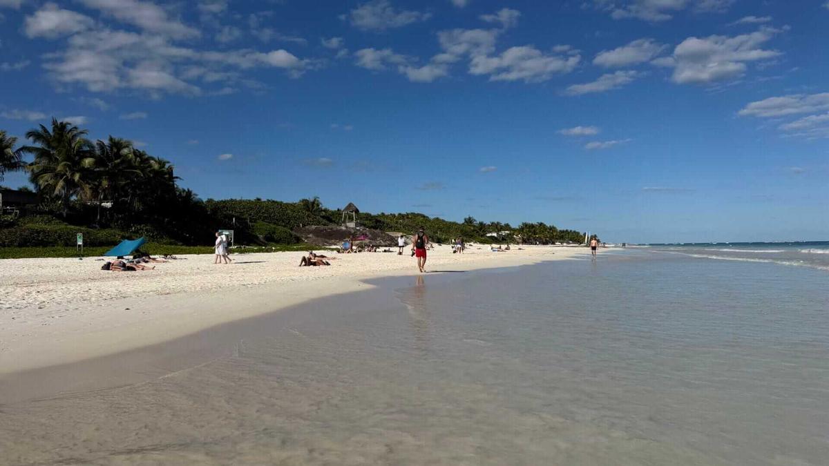 Hotels call for sanitation trust to fund sargassum control in Tulum Hotels call for sanitation trust to fund sargassum control in Tulum