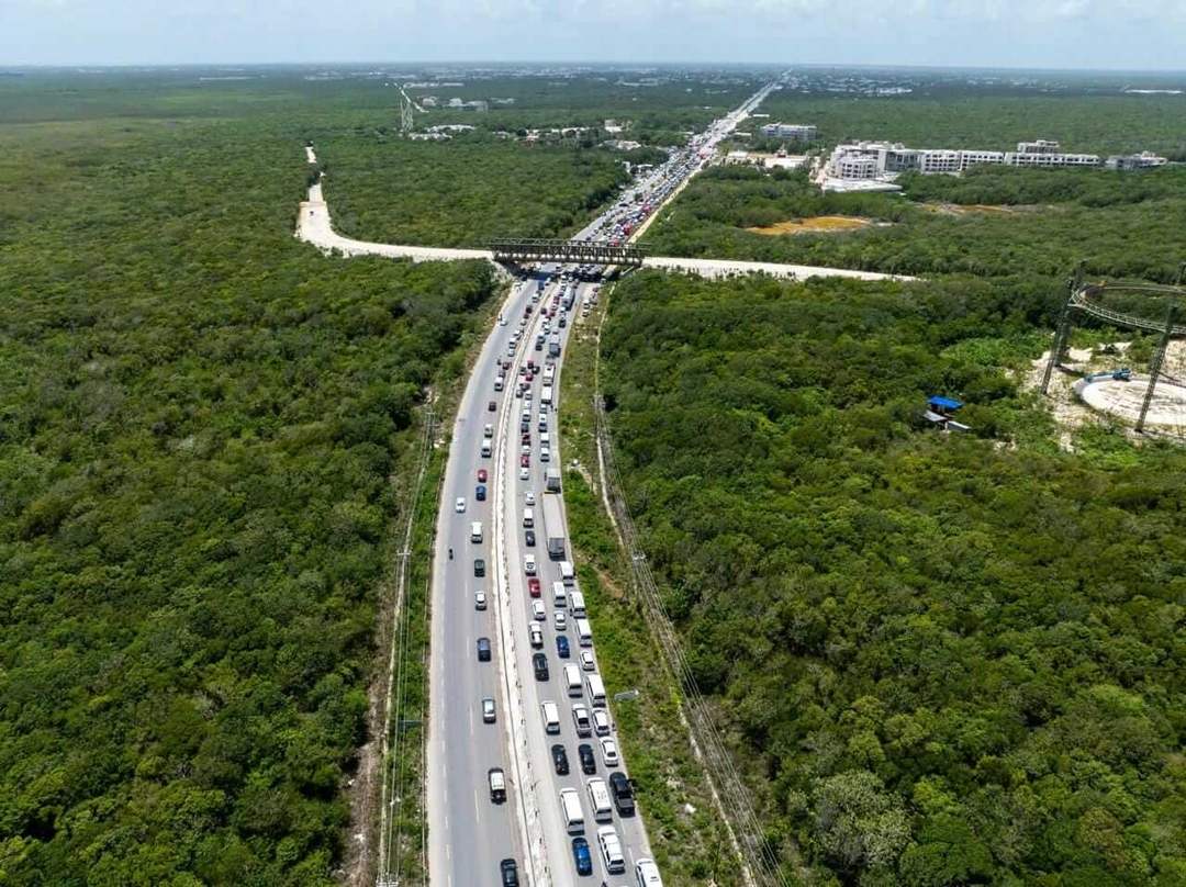 Tulum western bypass work halted after jungle clearing lacks active authorization