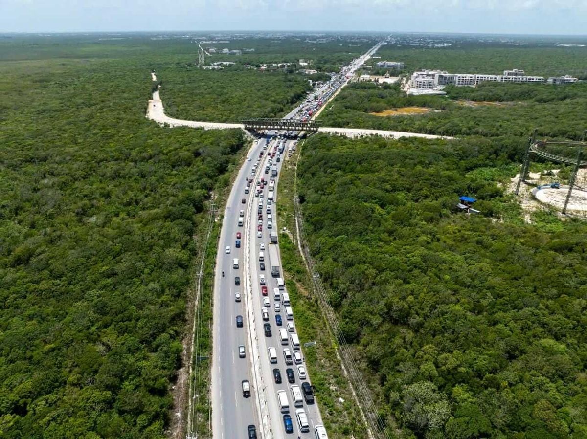 Tulum western bypass work halted after jungle clearing lacks active authorization Tulum western bypass work halted after jungle clearing lacks active authorization