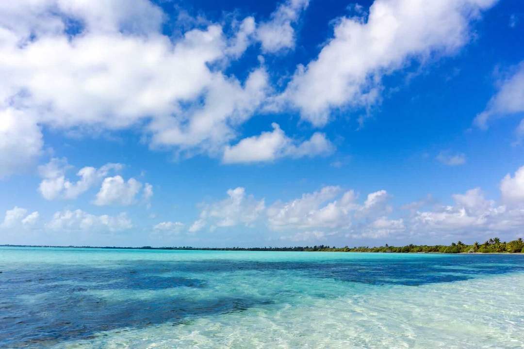 From Tulum to Punta Allen, a journey through Mexico’s protected Caribbean coast