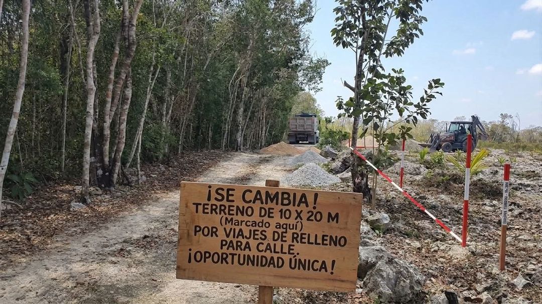 State opens probe into land-for-work offers in Tulum corridor State opens probe into land-for-work offers in Tulum corridor