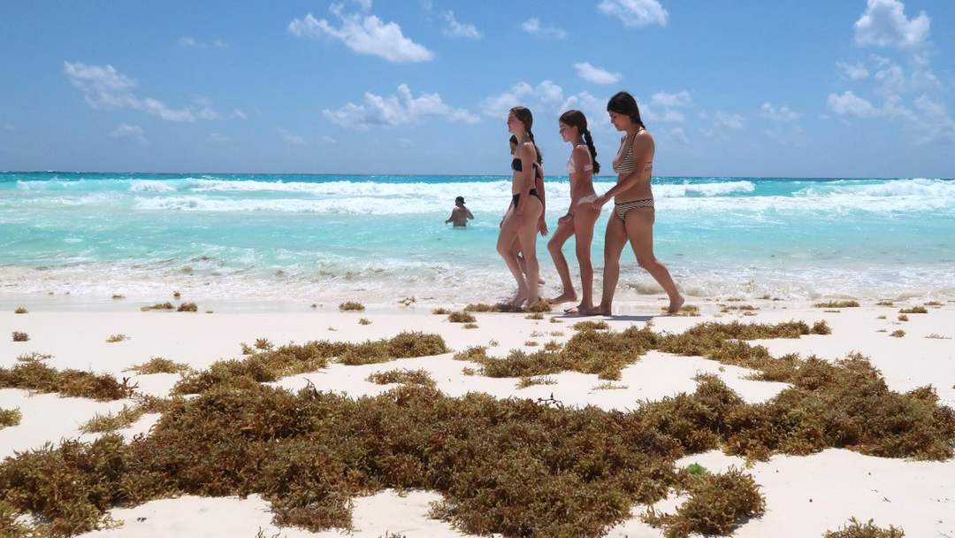 Why Cancun Rejects Sargassum Barriers