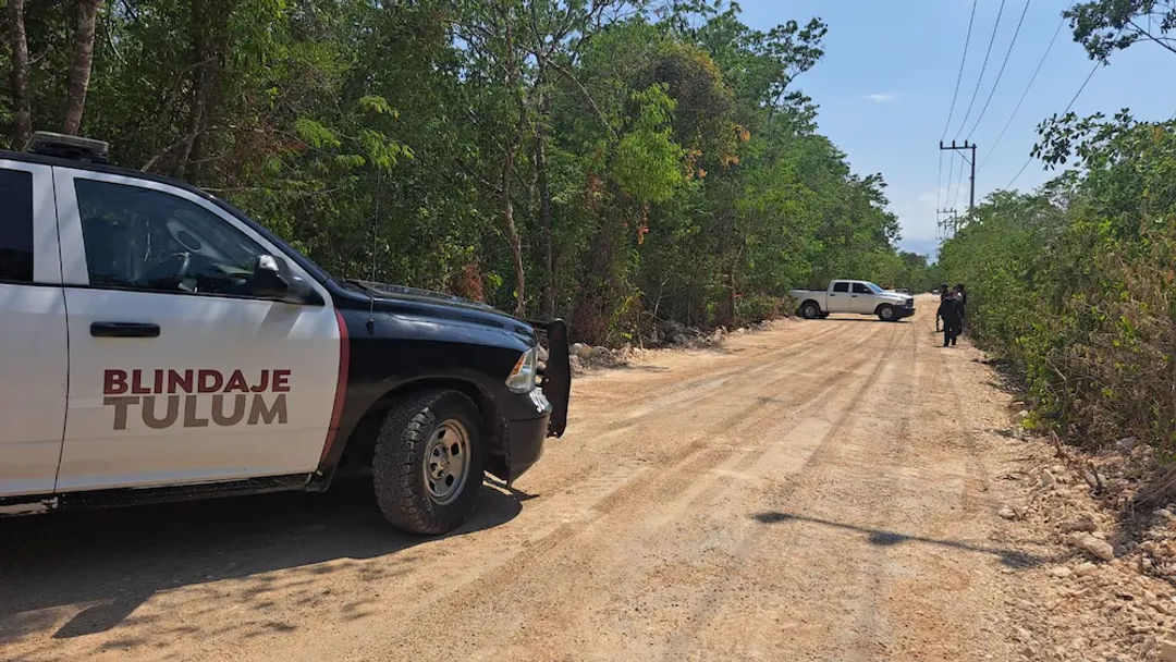 A Body in Advanced Decomposition Found in an Overgrown Lot in Tulum's Region 15 A Body in Advanced Decomposition Found in an Overgrown Lot in Tulum's Region 15