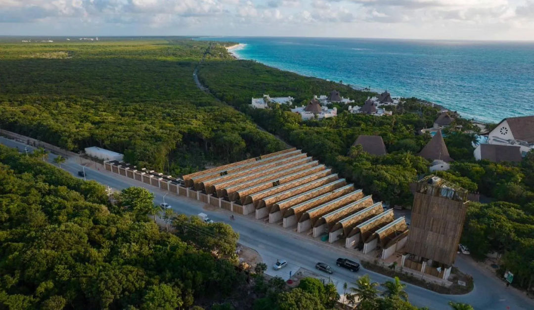 Why Tulum’s Parque del Jaguar Is Losing Visitors Fast Why Tulum’s Parque del Jaguar Is Losing Visitors Fast