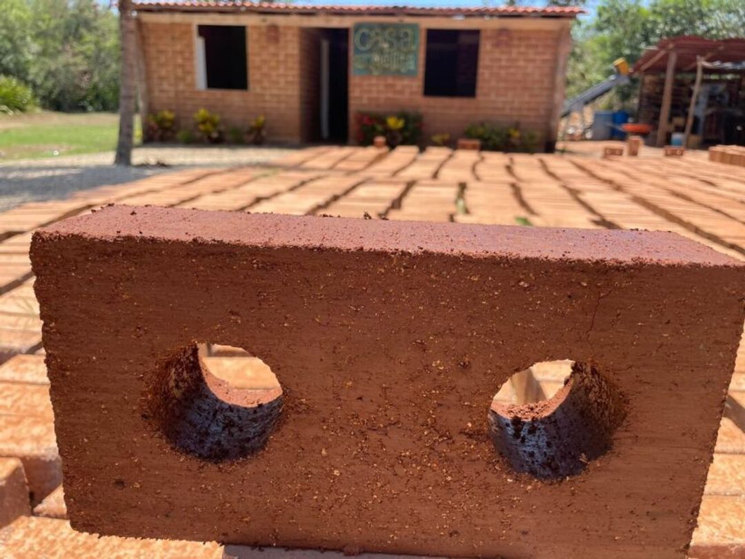 How a Puerto Morelos Gardener Turned Sargassum into Homes for Six Countries How a Puerto Morelos Gardener Turned Sargassum into Homes for Six Countries