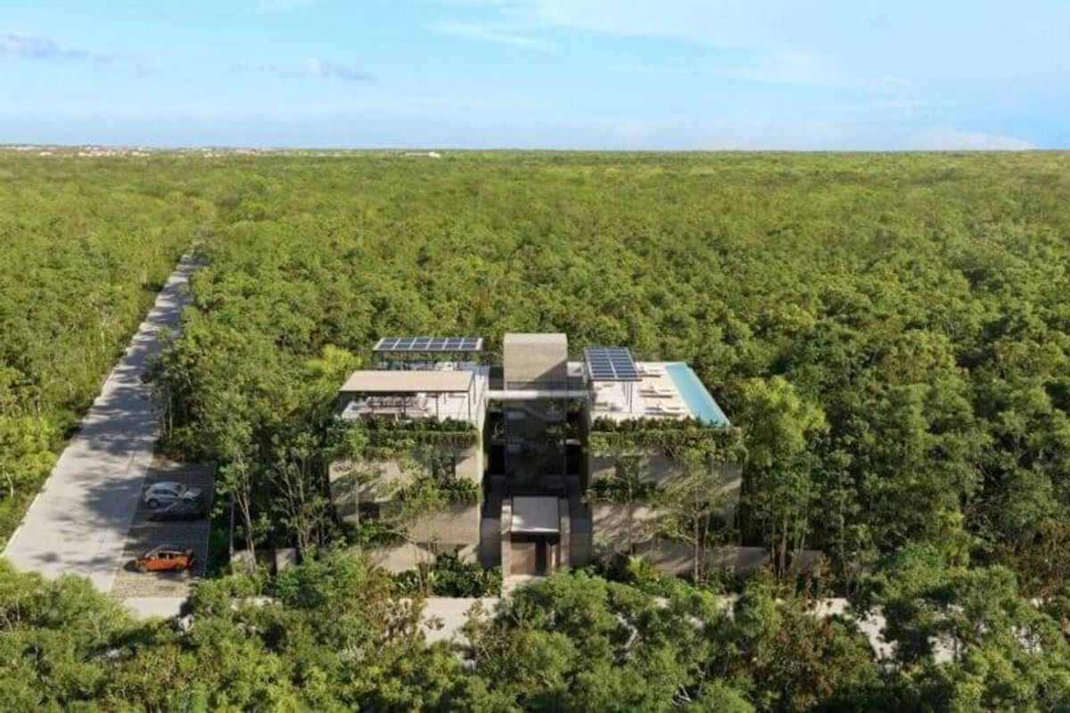 Investment in Riviera Maya projects reached $800 million in 2025