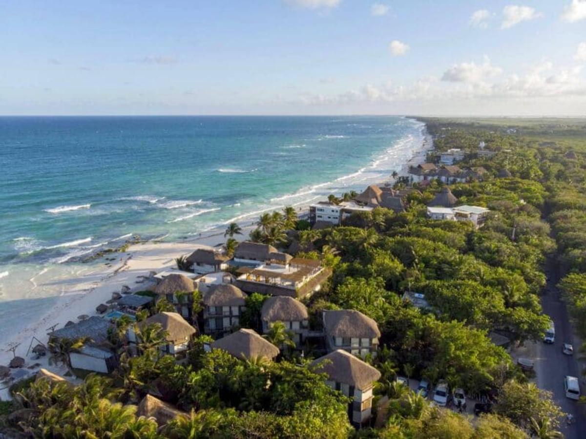 Sargassum Retreats from Tulum Beaches as Ocean Currents Shift Sargassum Retreats from Tulum Beaches as Ocean Currents Shift