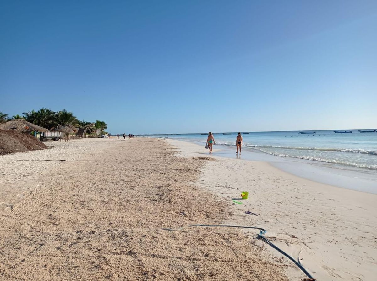 Tulum Grapples with Surging Sargassum on Pristine Shores