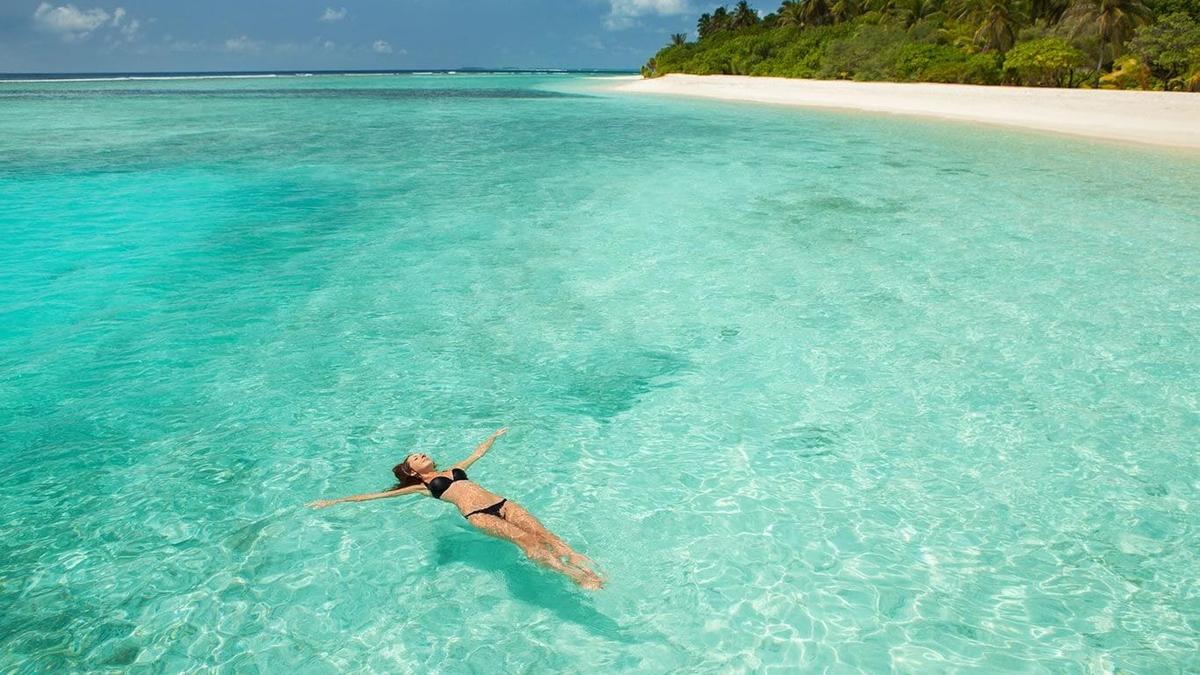 Sargassum Forecast 2025 for the Riviera Maya Sargassum Forecast 2025 for the Riviera Maya