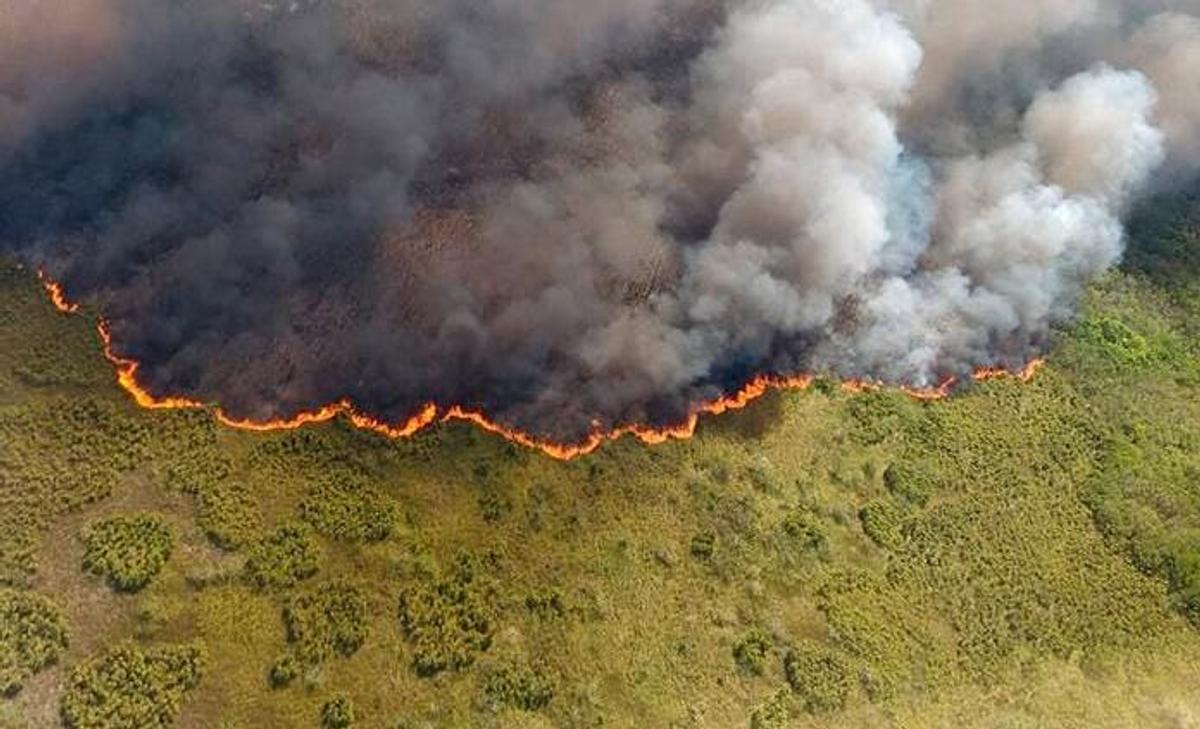 Devastating Blaze Engulfs Sian Ka’an Reserve in Quintana Roo Devastating Blaze Engulfs Sian Ka’an Reserve in Quintana Roo