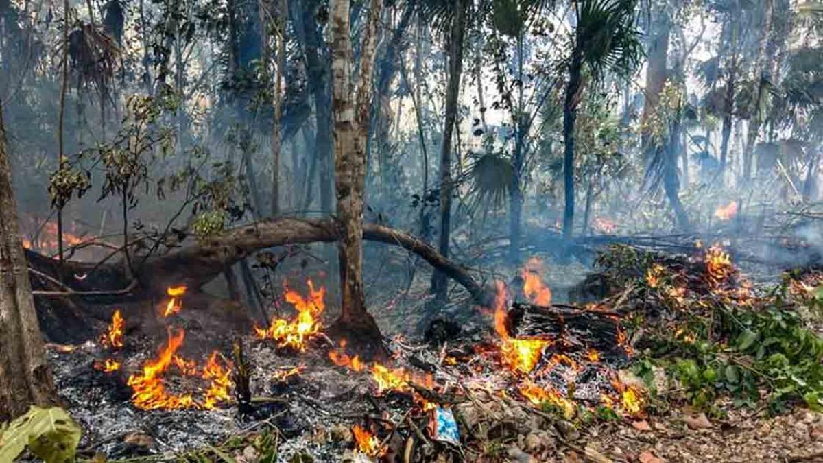 Devastating Fire Engulfs Tulum’s Sian Ka’an, Sparks Emergency Response Devastating Fire Engulfs Tulum’s Sian Ka’an, Sparks Emergency Response